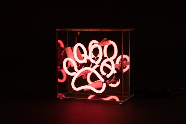 Neon-Box-Schild "Pfote - PINK"