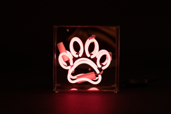 Neon-Box-Schild "Pfote - PINK"